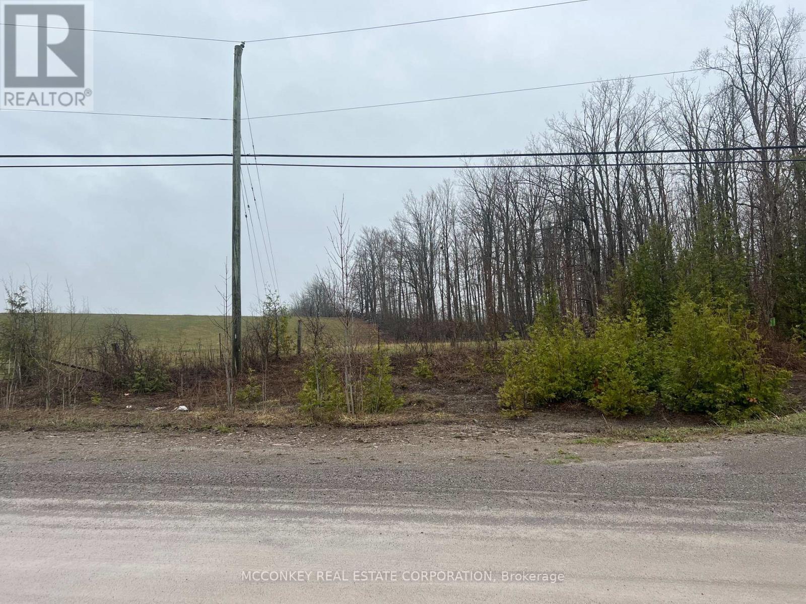 1020 Centre Road, Douro-Dummer, Ontario  K0L 2H0 - Photo 3 - X13011236