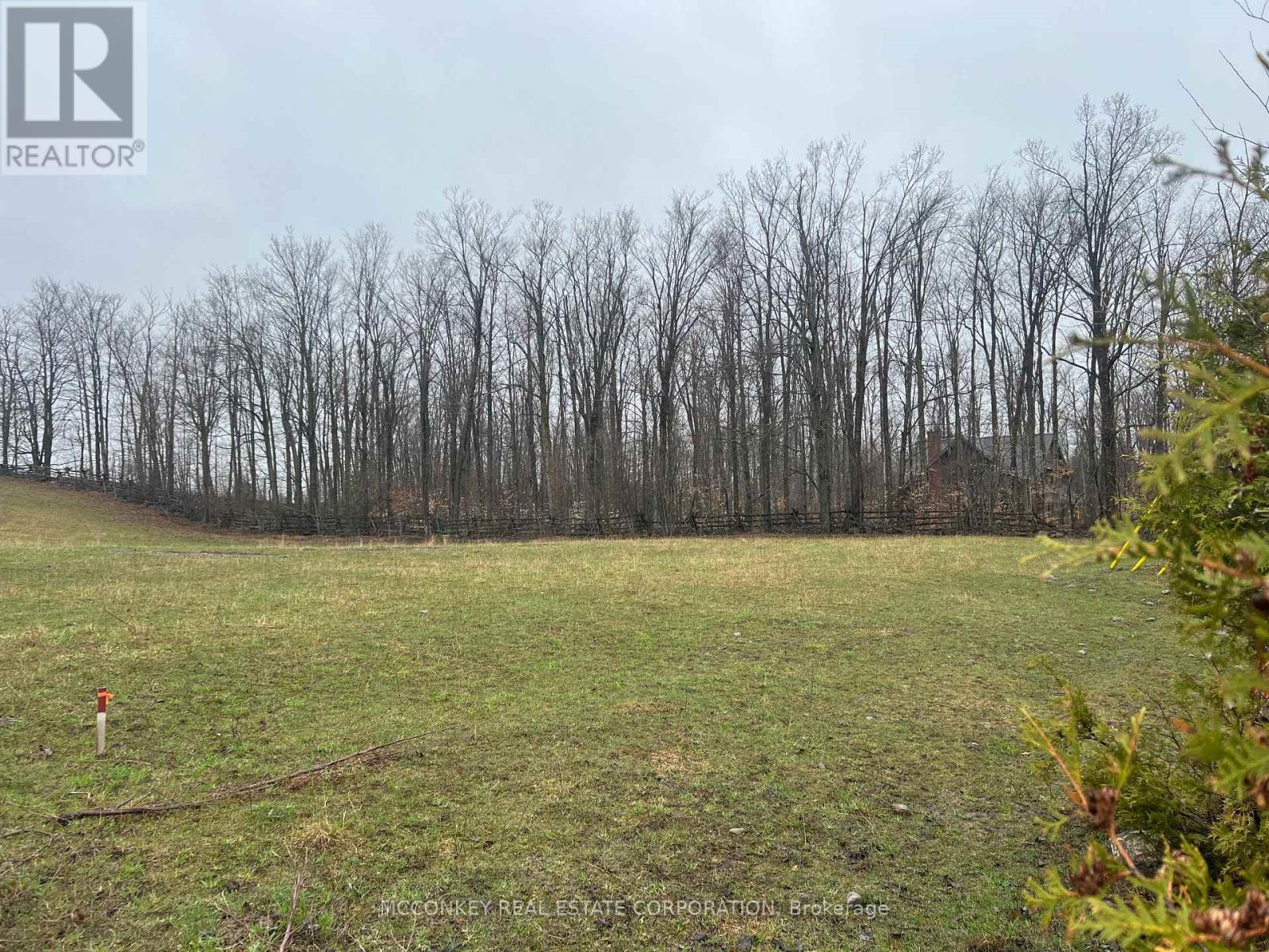 1020 Centre Road, Douro-Dummer, Ontario  K0L 2H0 - Photo 5 - X13011236