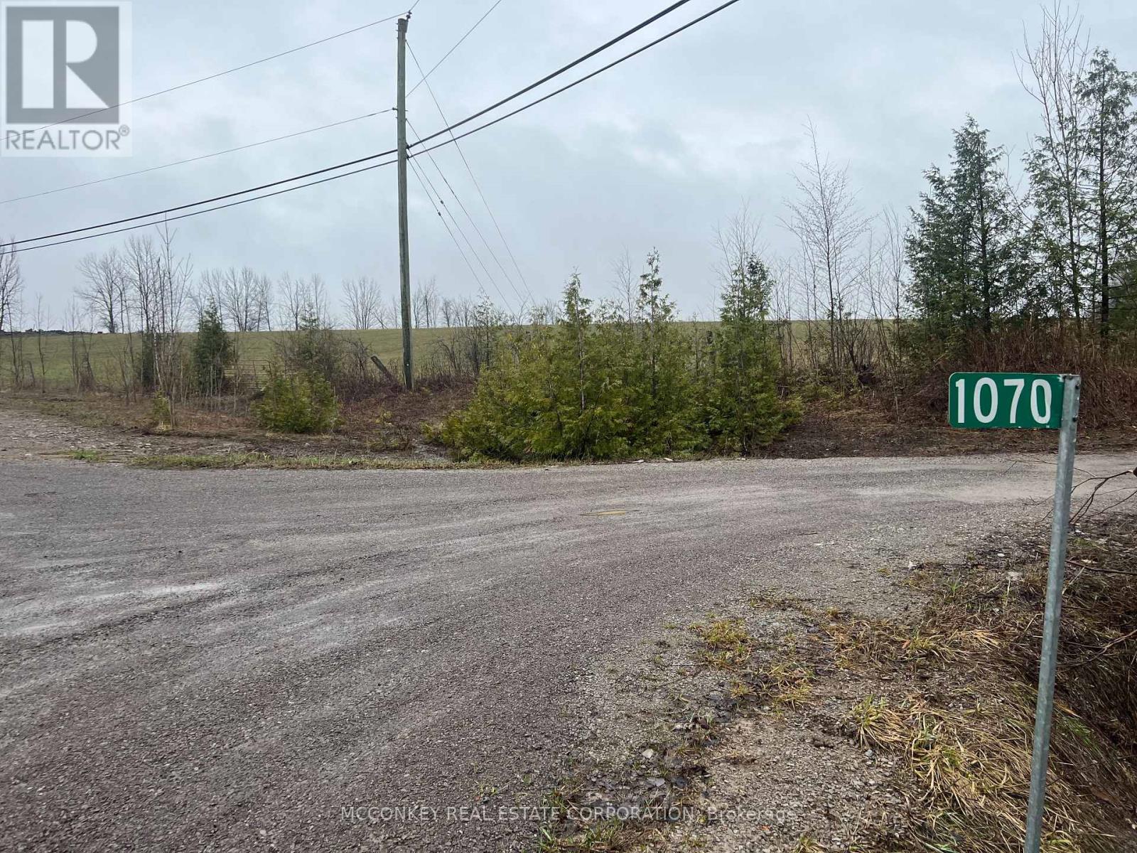 1020 Centre Road, Douro-Dummer, Ontario  K0L 2H0 - Photo 6 - X13011236