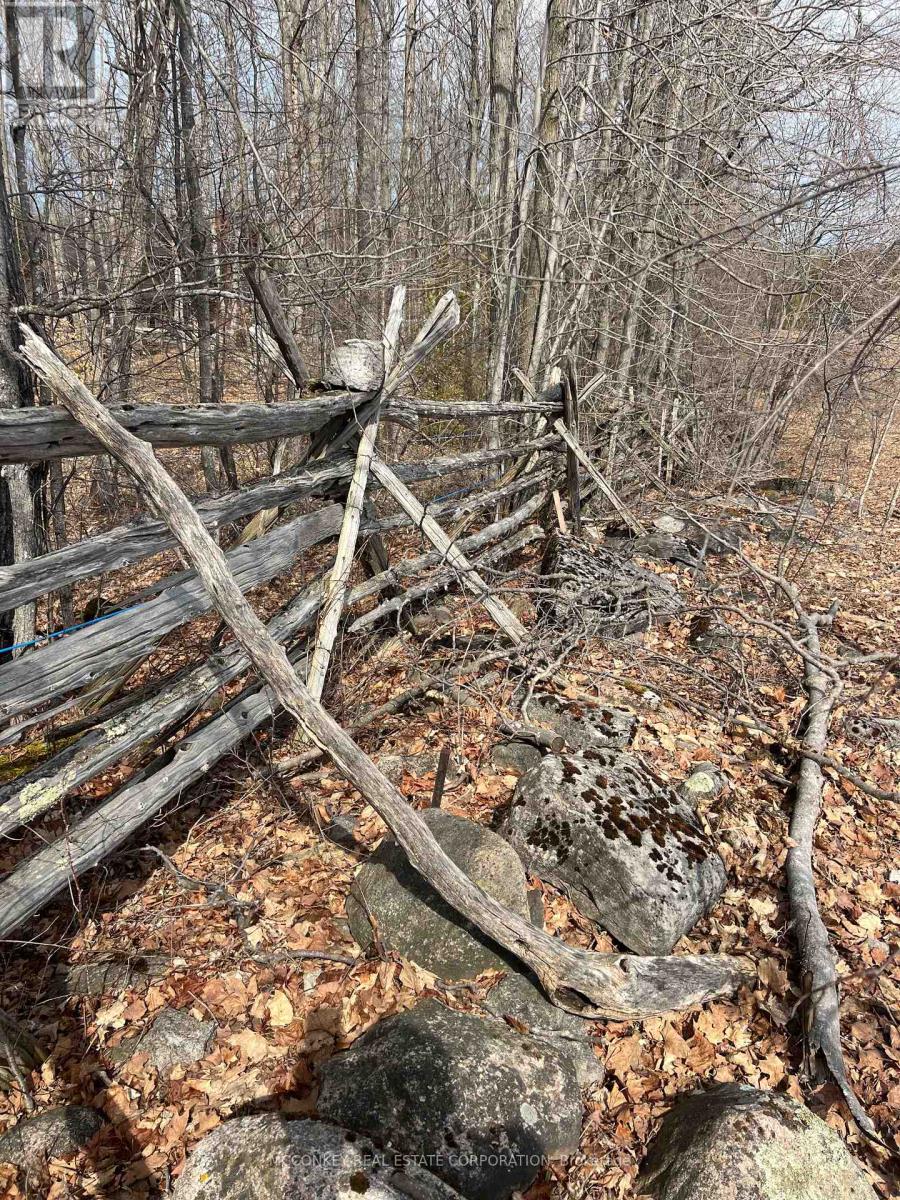 1020 Centre Road, Douro-Dummer, Ontario  K0L 2H0 - Photo 8 - X13011236