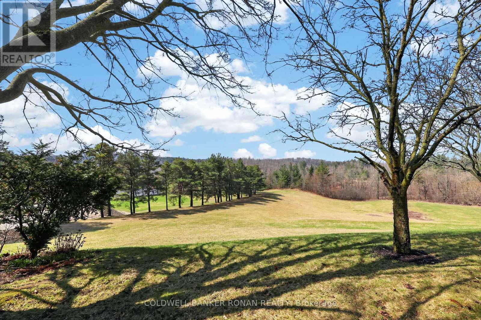 105 Tecumseth Pines Drive, New Tecumseth, Ontario  L0G 1W0 - Photo 35 - N13011228