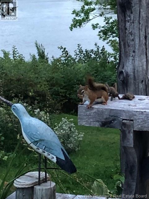 840 Bass River Point Road, Bass River, New Brunswick  E4T 1K4 - Photo 36 - NB137128