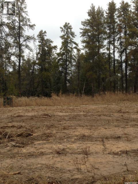 6-3 Lot 1.20 Acre, Hudson Bay Rm No. 394, Saskatchewan  S0E 0Y0 - Photo 6 - SK033182