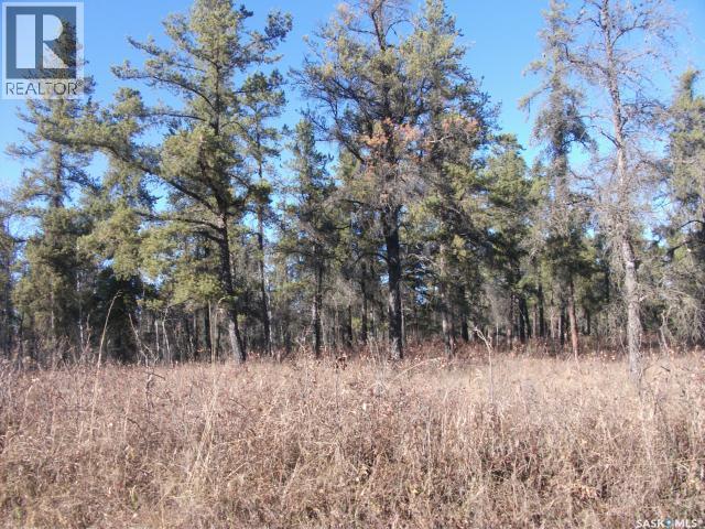 5-3 Lot 1.20 Acres, Hudson Bay Rm No. 394, Saskatchewan  S0E 0Y0 - Photo 1 - SK033181