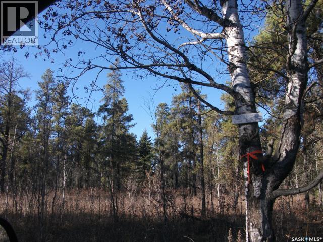 5-3 Lot 1.20 Acres, Hudson Bay Rm No. 394, Saskatchewan  S0E 0Y0 - Photo 3 - SK033181
