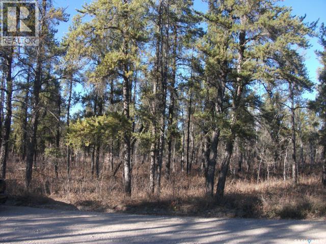 5-3 Lot 1.20 Acres, Hudson Bay Rm No. 394, Saskatchewan  S0E 0Y0 - Photo 4 - SK033181