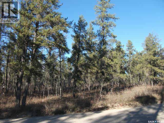 5-3 Lot 1.20 Acres, Hudson Bay Rm No. 394, Saskatchewan  S0E 0Y0 - Photo 5 - SK033181