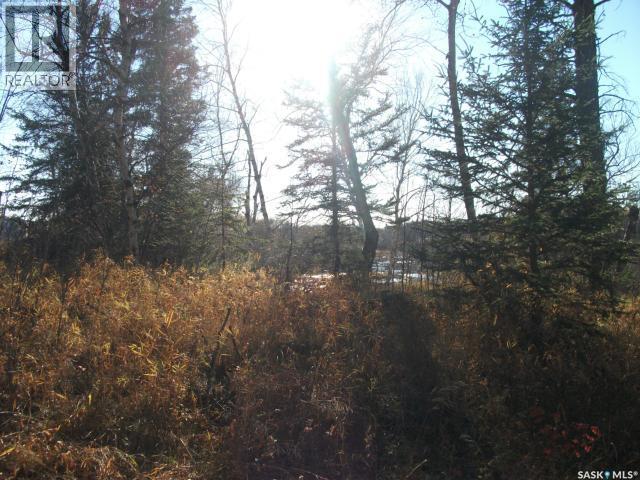 5-3 Lot 1.20 Acres, Hudson Bay Rm No. 394, Saskatchewan  S0E 0Y0 - Photo 6 - SK033181
