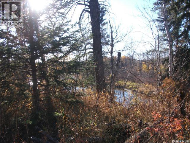 5-3 Lot 1.20 Acres, Hudson Bay Rm No. 394, Saskatchewan  S0E 0Y0 - Photo 7 - SK033181
