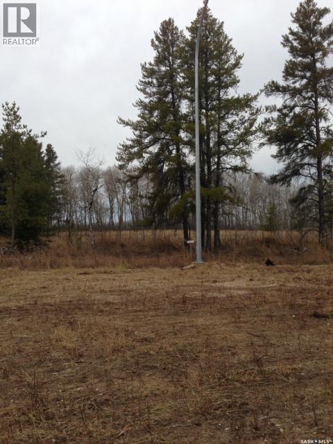 4-3 Lot 1.20 Acre, Hudson Bay Rm No. 394, Saskatchewan  S0E 0Y0 - Photo 4 - SK033179
