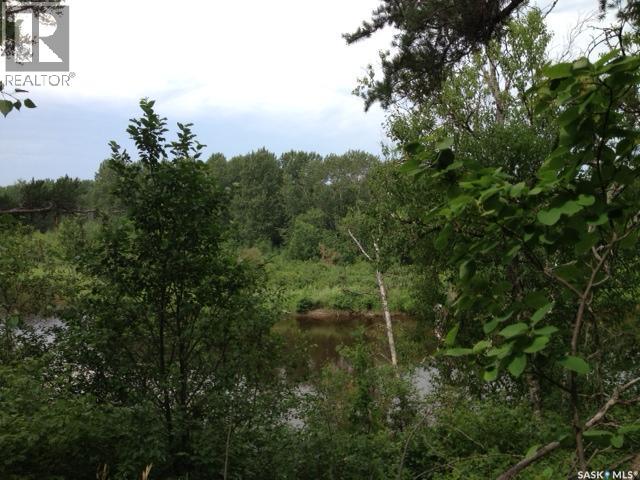 1-3 Lot 1.75 Acre, Hudson Bay Rm No. 394, Saskatchewan  S0E 0Y0 - Photo 7 - SK033176