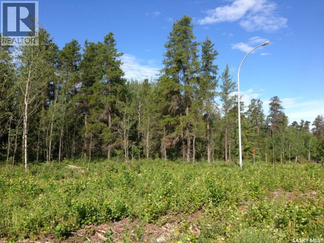1-3 Lot 1.75 Acre, Hudson Bay Rm No. 394, Saskatchewan  S0E 0Y0 - Photo 8 - SK033176