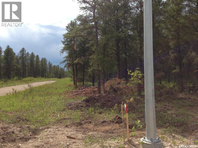 1-3 Lot 1.75 Acre, Hudson Bay Rm No. 394, Saskatchewan  S0E 0Y0 - Photo 9 - SK033176