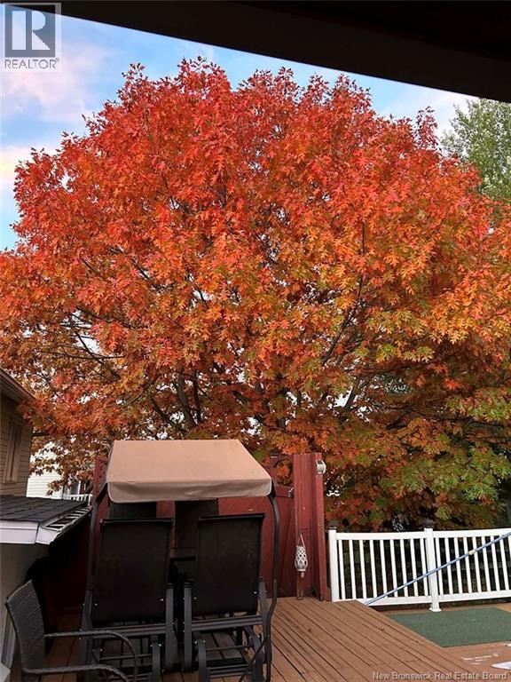 19 Belisle Avenue, Edmundston, New Brunswick  E3V 3W9 - Photo 15 - NB135422