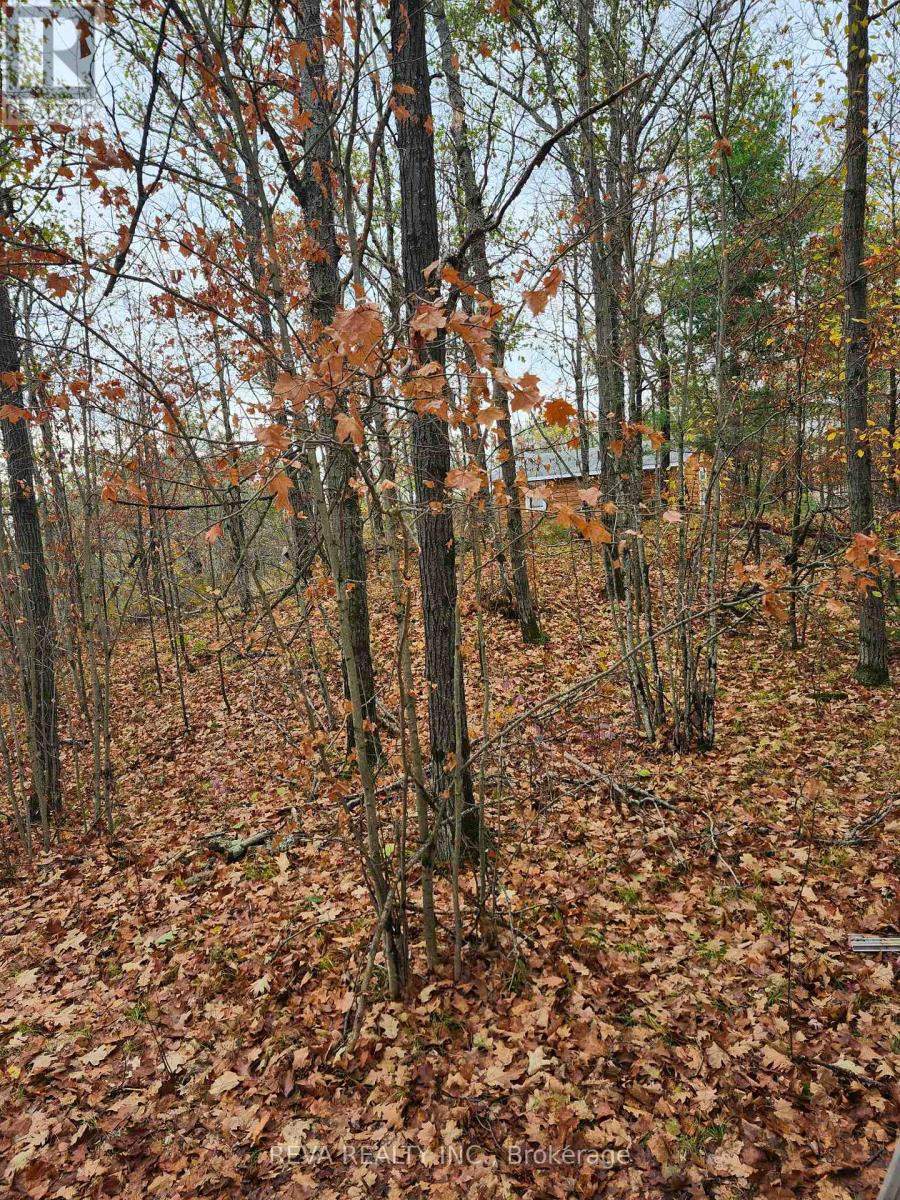 00 Baker Valley Road, Frontenac, Ontario  K0H 0B6 - Photo 10 - X13011510