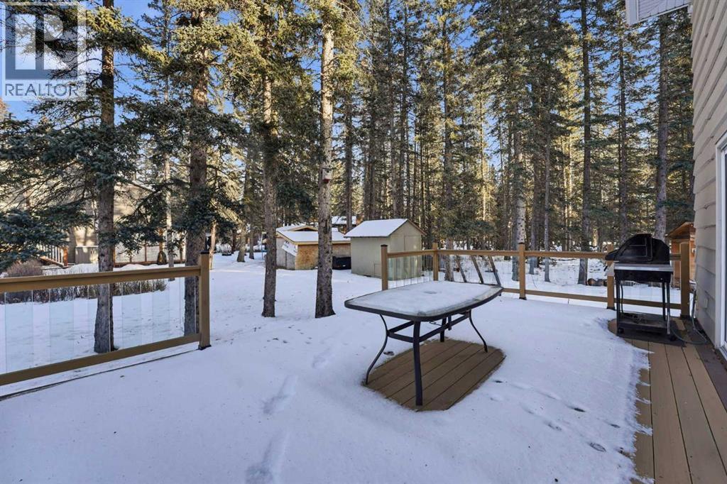 38 Wolf Drive, Rural Rocky View County, Alberta  T3Z 1A3 - Photo 41 - A2299746