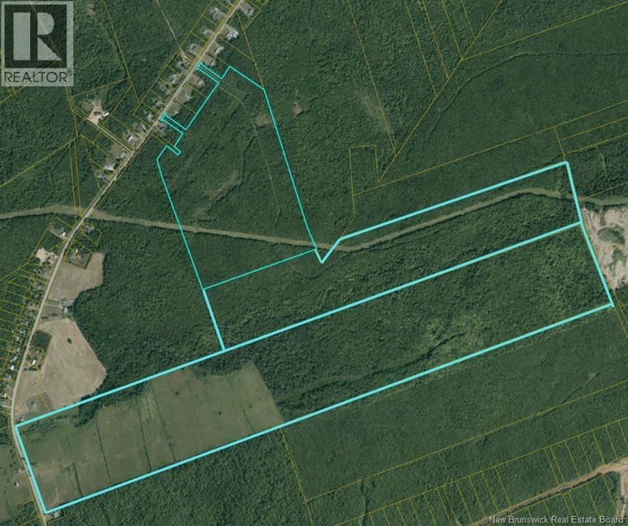 3 Parcel Woodlot - Rte 115, Irishtown, New Brunswick  E1H 2M9 - Photo 1 - NB137322