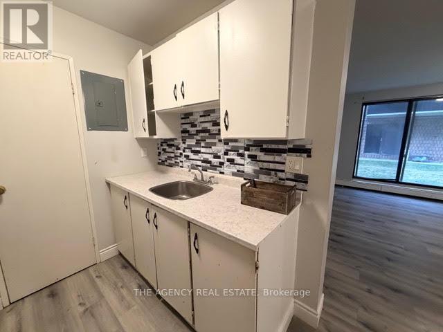 101 - 43 Taylor Avenue, Chatham-Kent, Ontario  N7L 2T4 - Photo 3 - X13012000