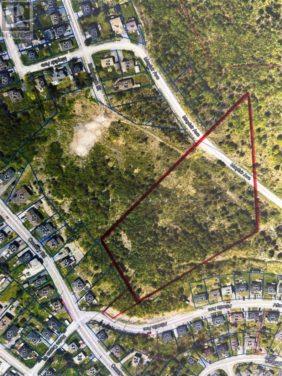 23 Mayfair Avenue, Corner Brook, Newfoundland & Labrador  A2H 1P7 - Photo 2 - 1296305