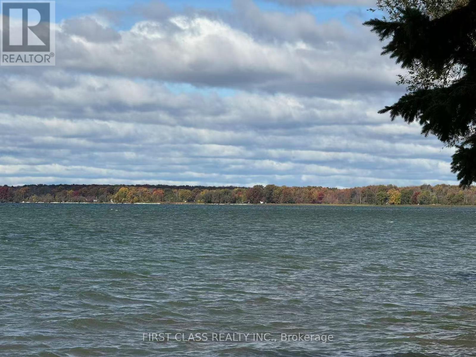 88 Alsops Beach Road, Brock, Ontario  L0K 1A0 - Photo 21 - N13011860