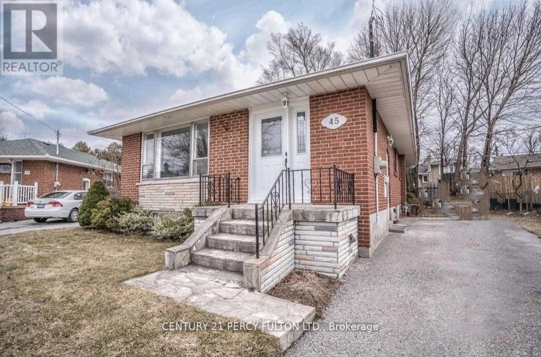 Bsmt - 45 Greenock Avenue, Toronto, Ontario  M1G 2Z7 - Photo 2 - E12829130