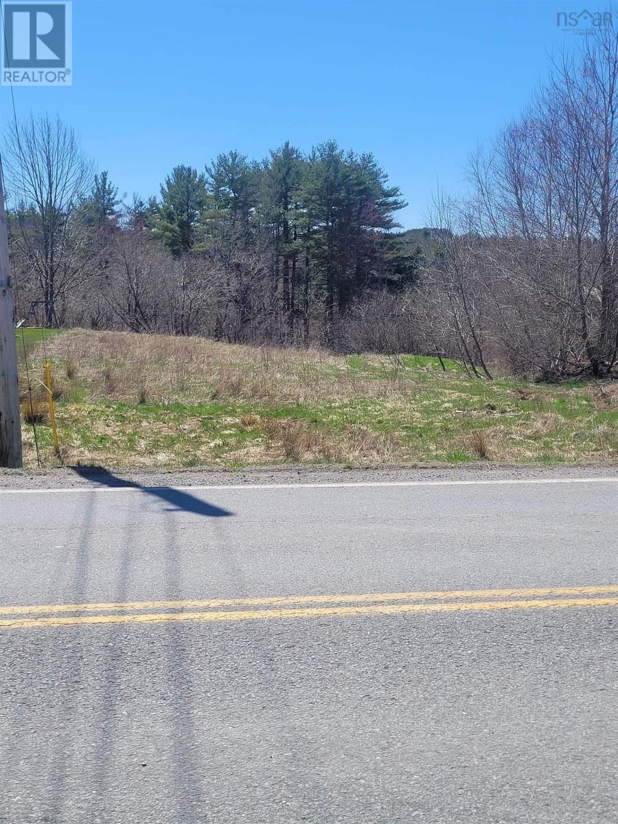 Lot (Pid 60256468) Highway 10, New Germany, Nova Scotia B0R 1E0 - Photo 2 - 202600222