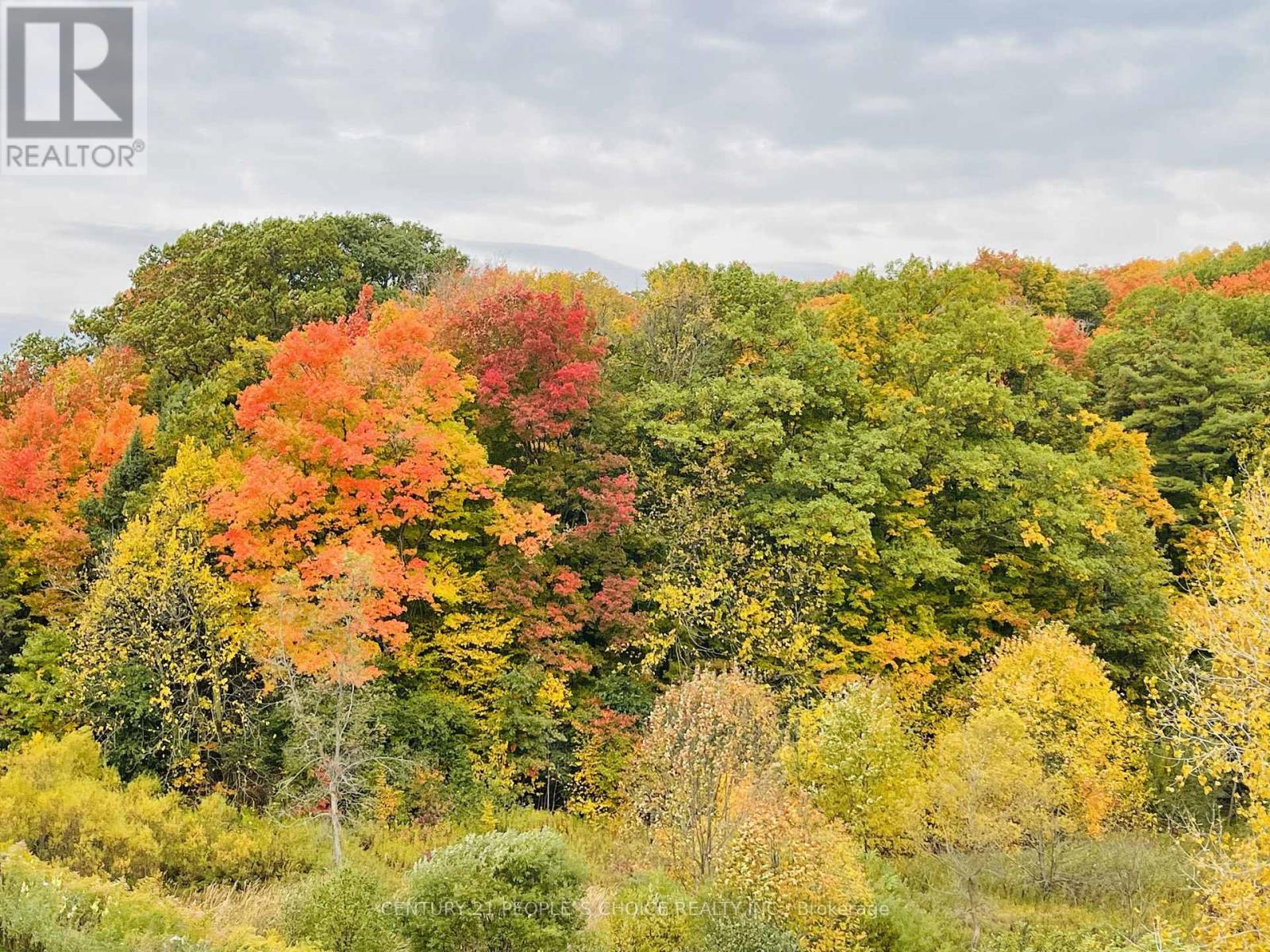 #48 - 261 Woodbine Avenue, Kitchener, Ontario  N2R 0S7 - Photo 49 - X13004706