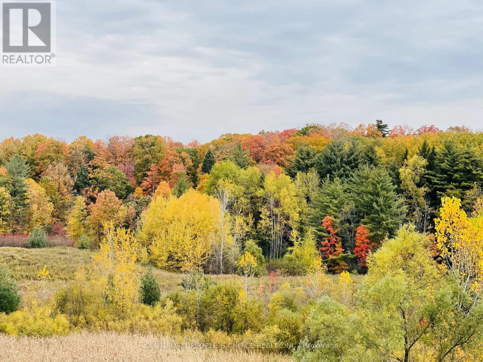 #48 - 261 Woodbine Avenue, Kitchener, Ontario  N2R 0S7 - Photo 48 - X13004706