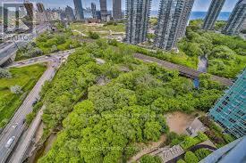 2207 - 185 Legion Road N, Toronto, Ontario  M8Y 0A1 - Photo 19 - W13011834