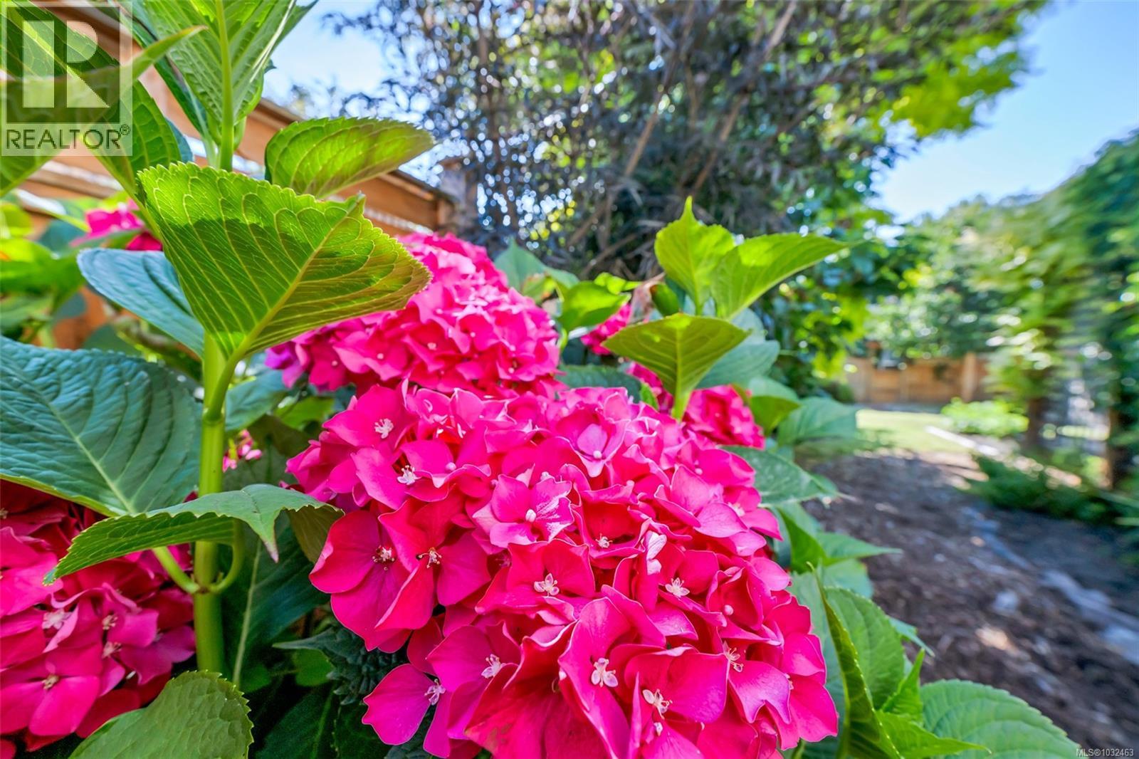 2624 Forbes St, Victoria, British Columbia  V8R 4C1 - Photo 60 - 1032463