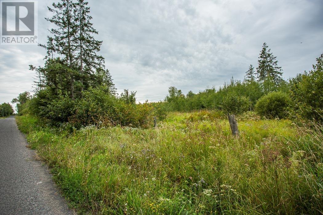 Rydall Mill Road North Side, Property 7, Township Of Laird, Ontario  P0R 1E0 - Photo 21 - SM252806