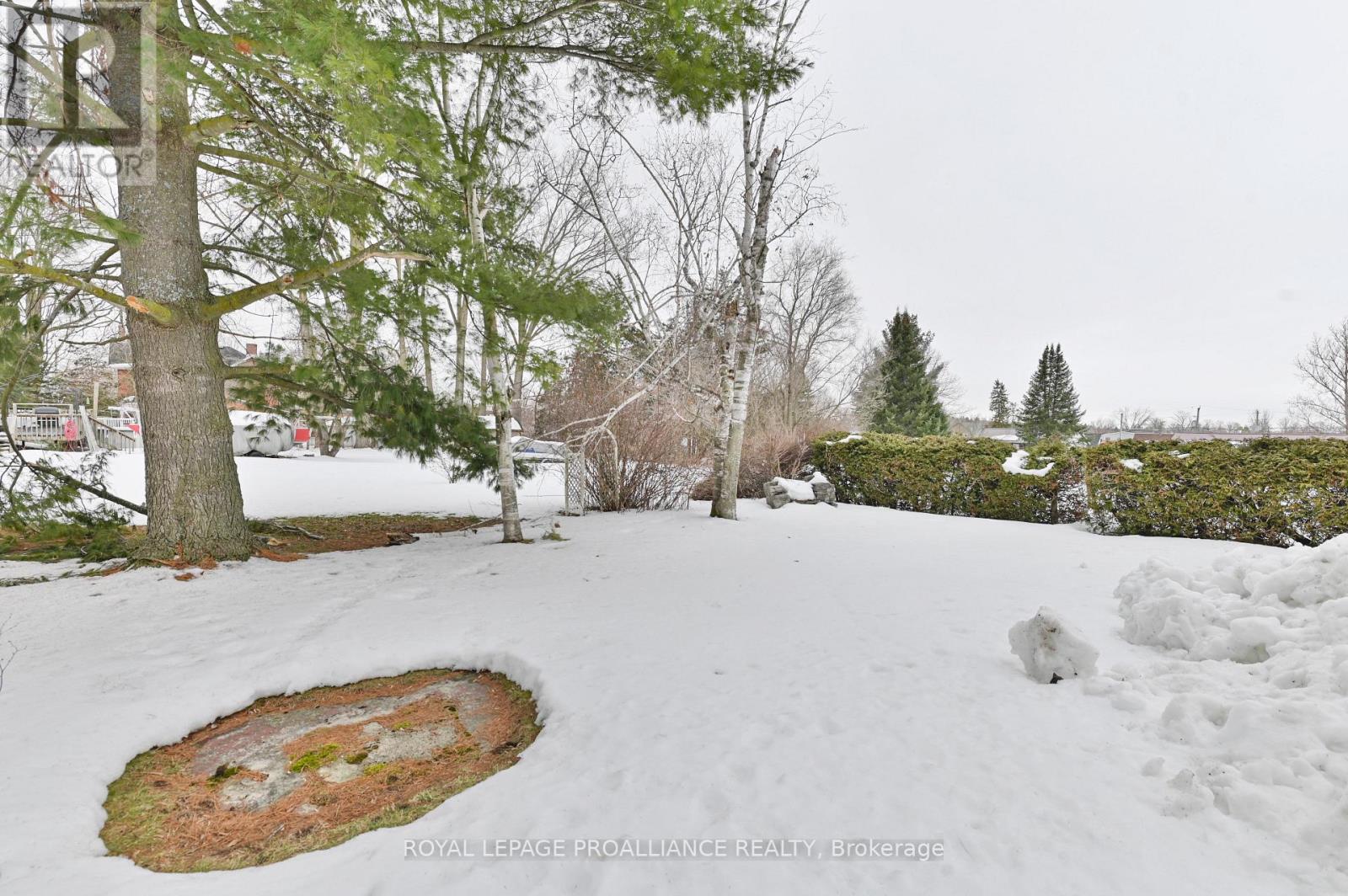 184 Edward Street, Stirling-Rawdon, Ontario  K0K 3E0 - Photo 28 - X12862082