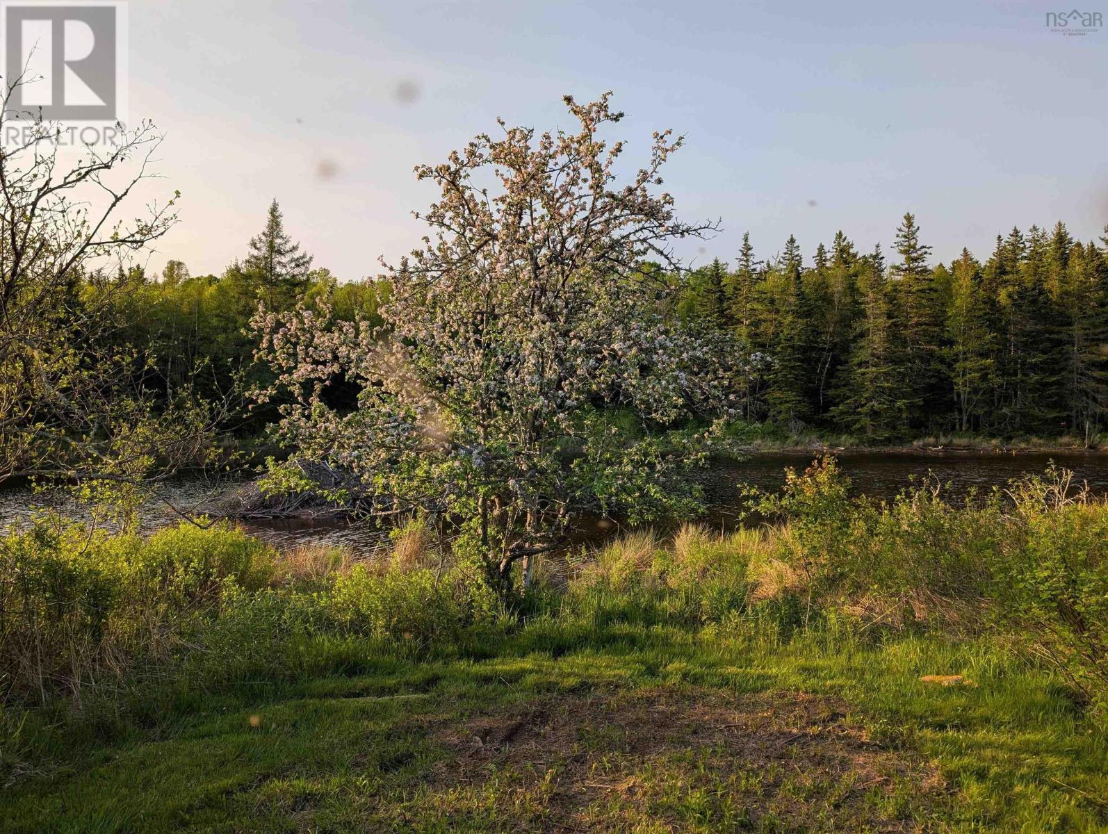 1329 Highway 321, River Philip, Nova Scotia  B0M 1V0 - Photo 3 - 202600163