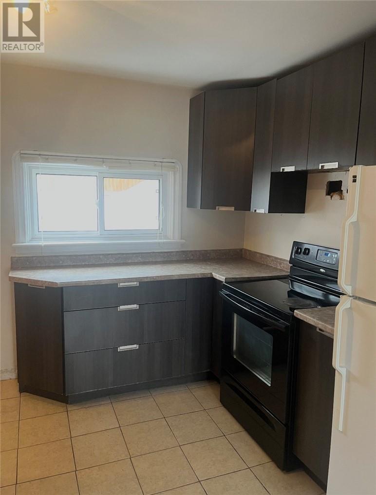 340 Riverside, Sudbury, Ontario  P3E 1H7 - Photo 13 - 2127176