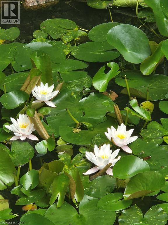 557 Stillwater Crescent, Burlington, Ontario  L7T 3M8 - Photo 26 - 40821692