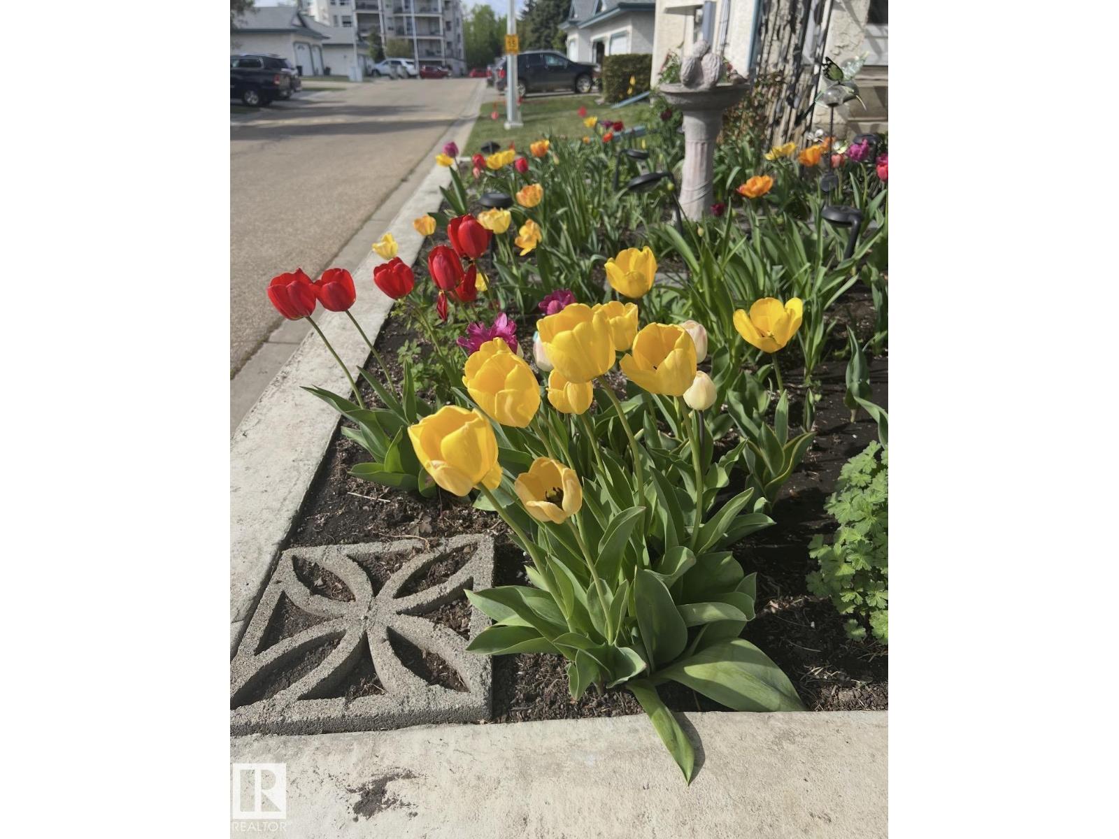 #7 85 Gervais Rd, St. Albert, Alberta  T8N 6H5 - Photo 64 - E4482784