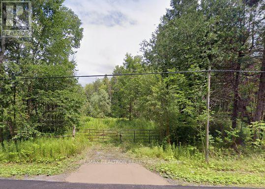 20129 Kennedy Road, East Gwillimbury, Ontario  L0G 1R0 - Photo 2 - N13012112