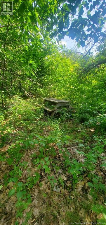 Lot Cox Point Road, Cumberland Bay, New Brunswick  E4A 2Y5 - Photo 12 - NB137390