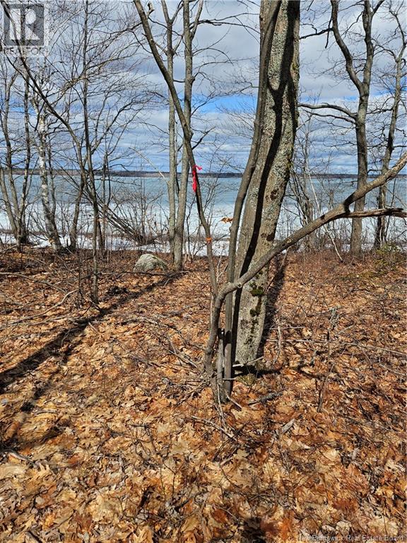 Lot Cox Point Road, Cumberland Bay, New Brunswick  E4A 2Y5 - Photo 4 - NB137390