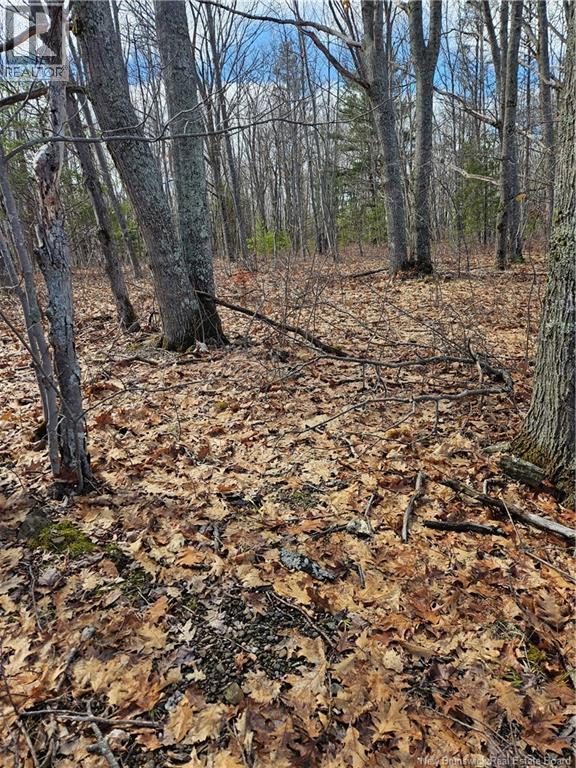 Lot Cox Point Road, Cumberland Bay, New Brunswick  E4A 2Y5 - Photo 2 - NB137390