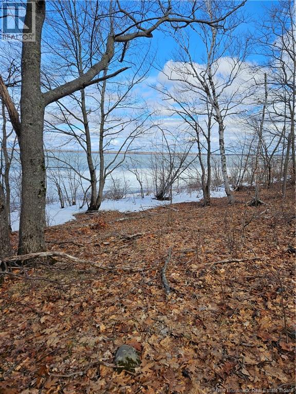 Lot Cox Point Road, Cumberland Bay, New Brunswick  E4A 2Y5 - Photo 3 - NB137390