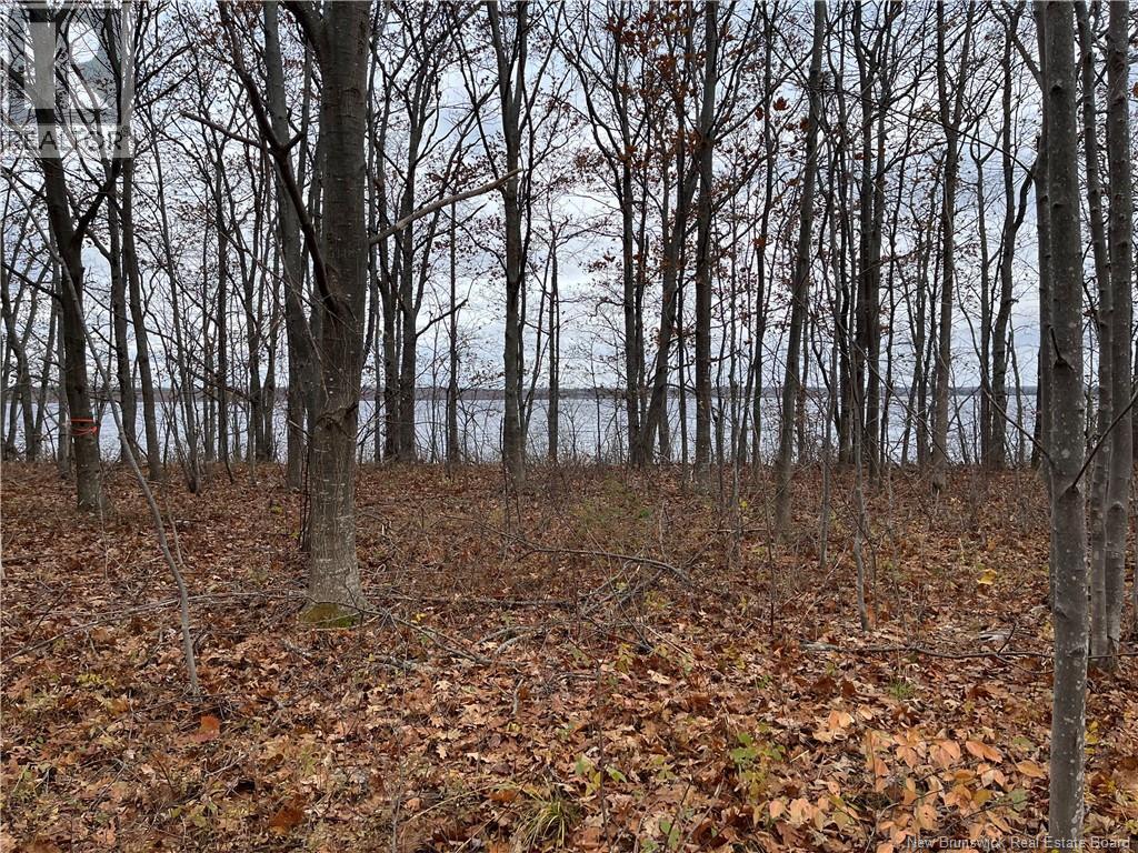 Lot Cox Point Road, Cumberland Bay, New Brunswick  E4A 2Y5 - Photo 26 - NB137390