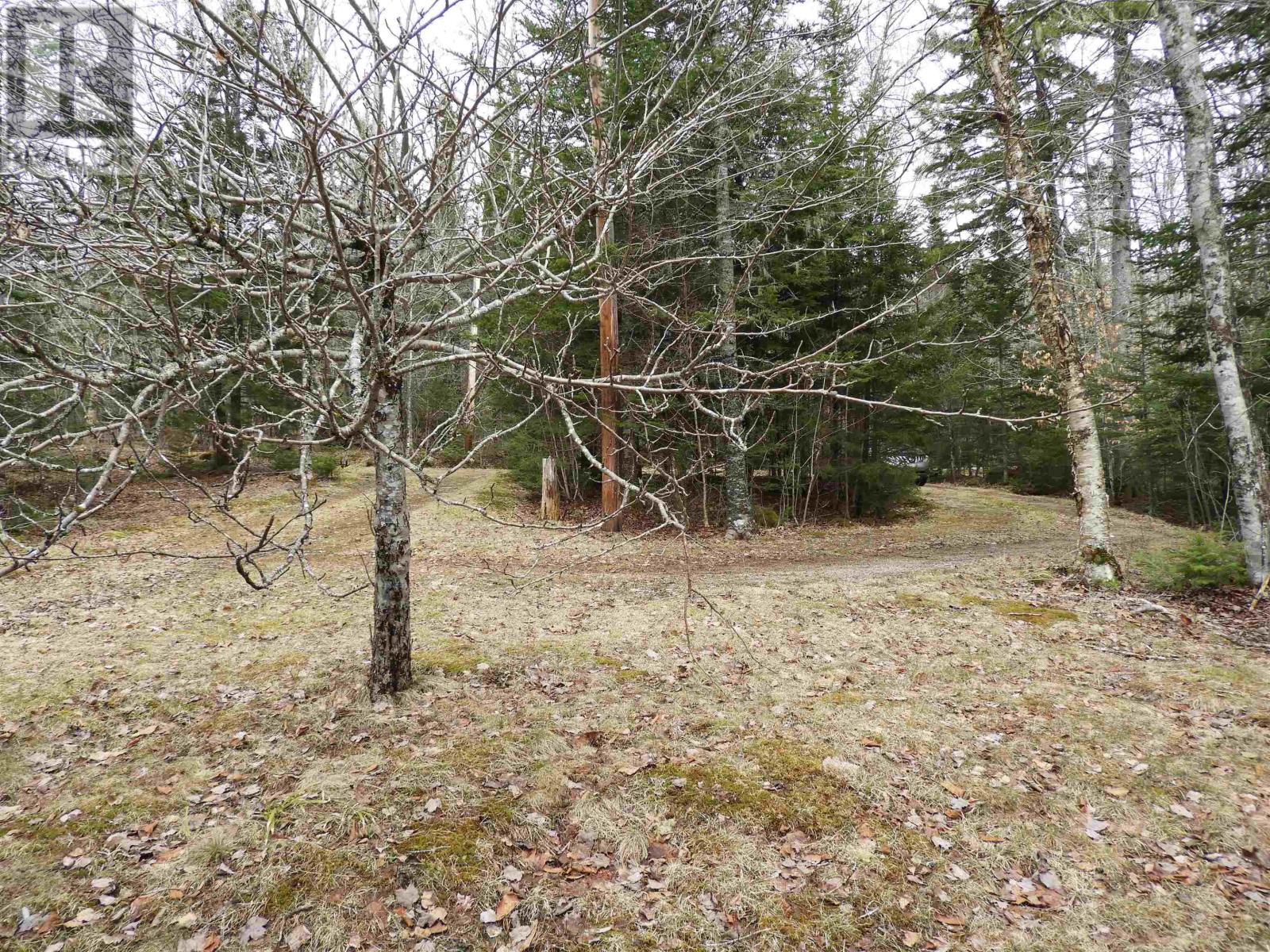 51 Camp Lake Drive, Mill Road, Nova Scotia  B0J 2M0 - Photo 32 - 202607784