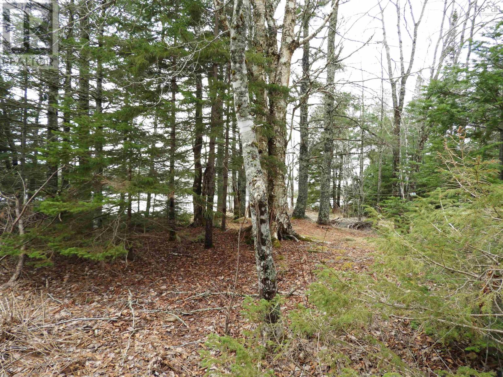 51 Camp Lake Drive, Mill Road, Nova Scotia  B0J 2M0 - Photo 31 - 202607784