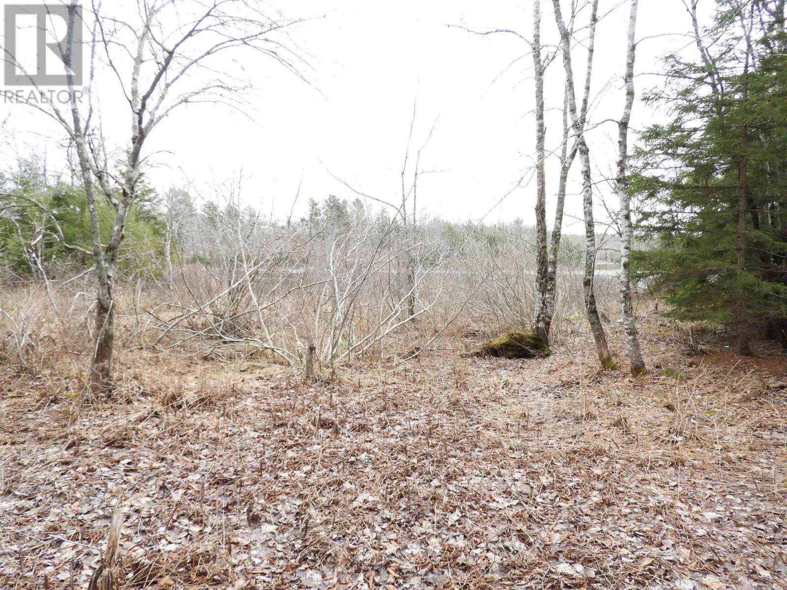 51 Camp Lake Drive, Mill Road, Nova Scotia  B0J 2M0 - Photo 33 - 202607784