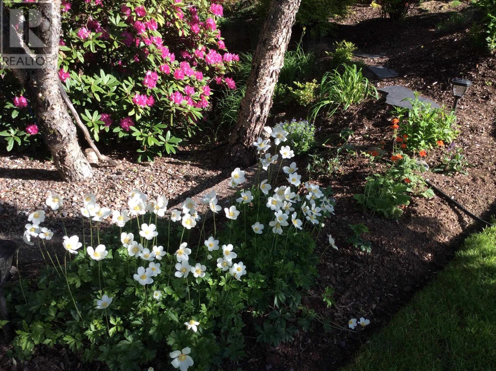 22 Wedgewood Avenue, Halifax, Nova Scotia  B3M 2B2 - Photo 46 - 202607787