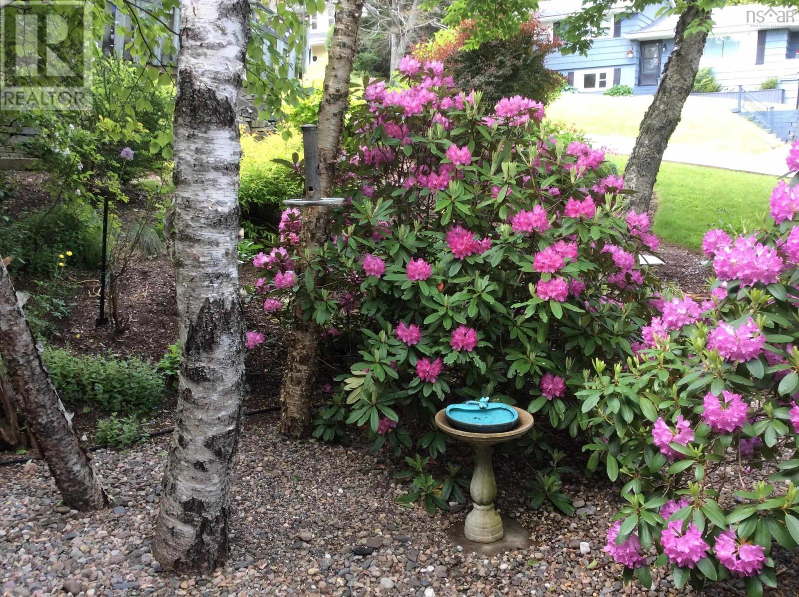 22 Wedgewood Avenue, Halifax, Nova Scotia  B3M 2B2 - Photo 47 - 202607787