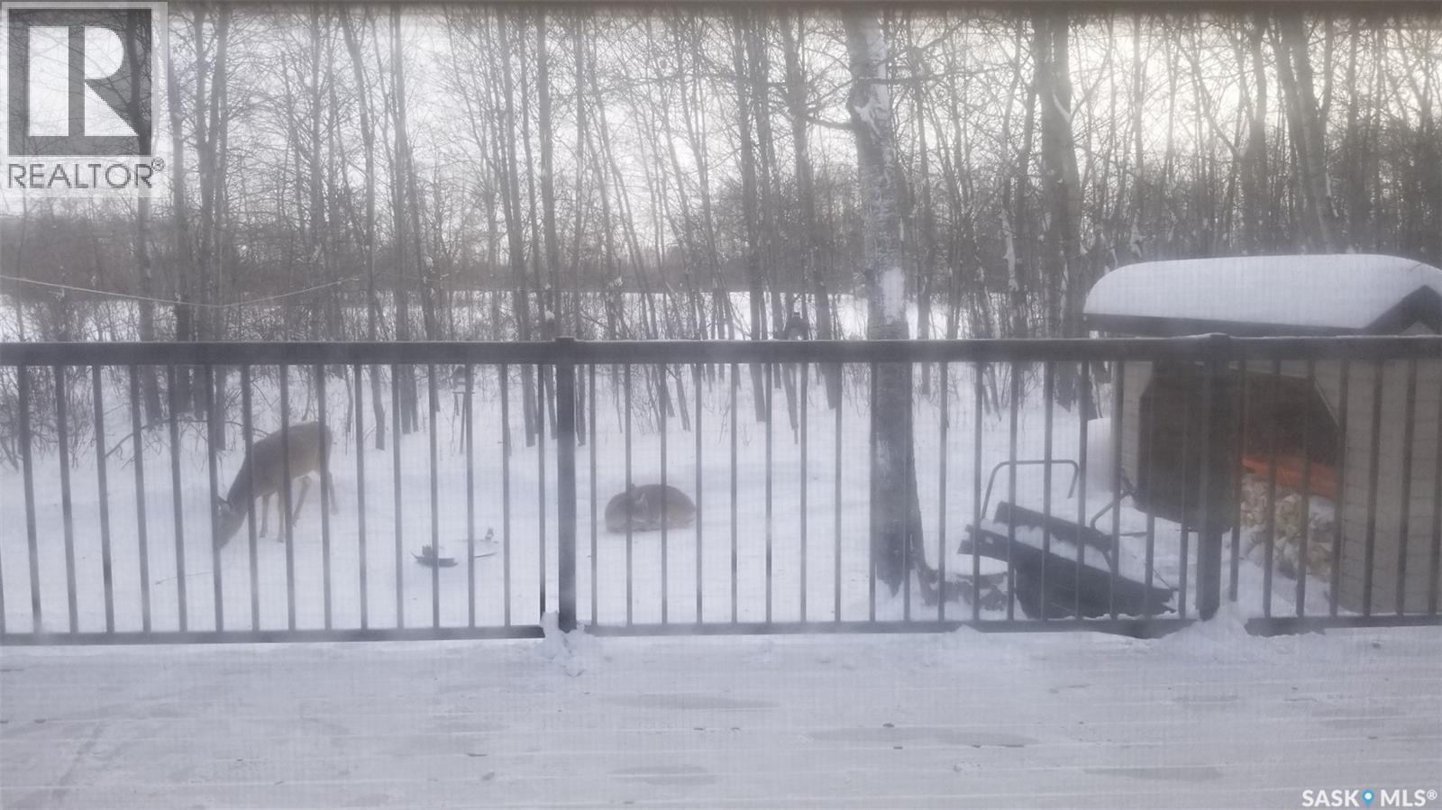 406 Capalano Drive, Good Spirit Lake, Saskatchewan  S0A 0L1 - Photo 25 - SK033095