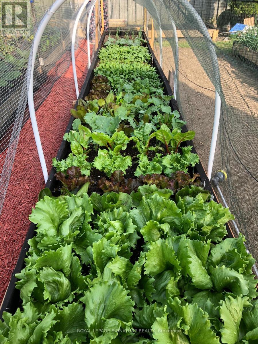 6943 Estoril Road, Mississauga, Ontario  L5N 1N3 - Photo 45 - W13012400