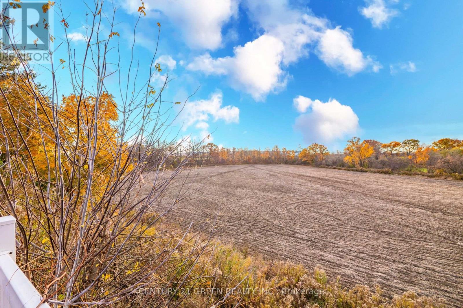 4512 Tremaine Road, Milton (Tr Rural Trafalgar), Ontario  L9T 2Y1 - Photo 45 - W13012422